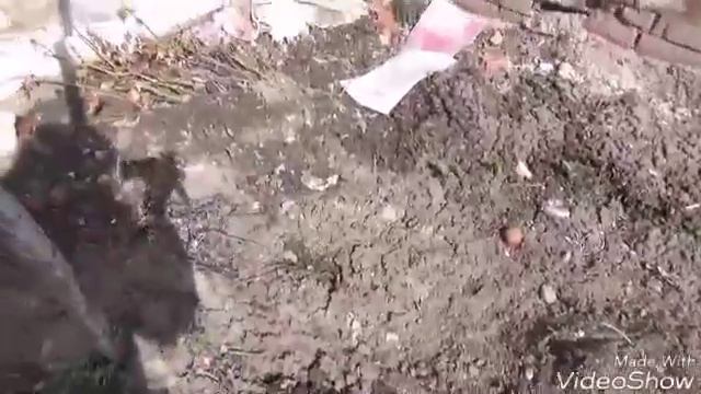 Цветы после зимы смотреть онлайн