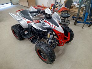 Часть 2. Сборка с ноля квадроцикла MotoLаnd Rally 250.