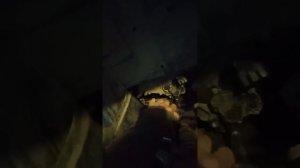 Хонда Цивик 4 Д снятие селектора АКПП.