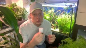 Ольховые шишки в аквариум .Зачем?Почему?Нахрена?