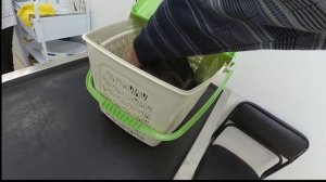 Делаем прививку кошке от бешенства перед дорогой. Запрет съёмки в вет. клинике. Архангельск.