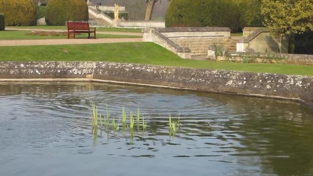 Canon IXUS 125 HS Sample Video with Zoom смотреть онлайн
