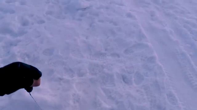 Вот это рыбалка!!! Щука не давала покоя. ( Часть первая ) смотреть онлайн
