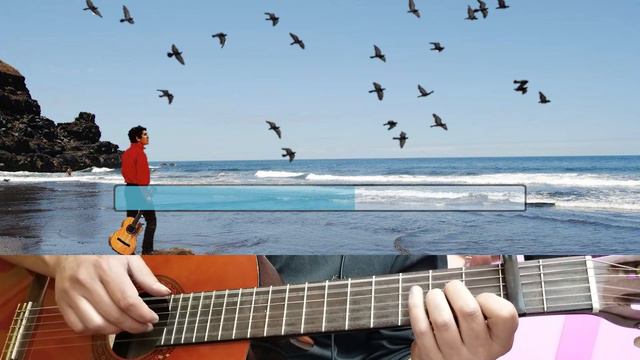 Deja la vida volar - Víctor Jara (Tono Mujer Guitarra) смотреть онлайн
