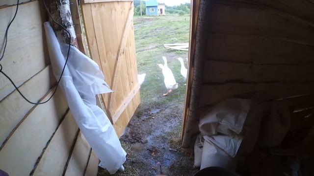Индюки- полный провал // хутор Загайки смотреть онлайн
