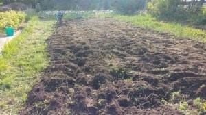 Мотоблок Sturm (Штурм) прошёл 4 ряда вспашки, пашет глубоко, 7 лошадиных сил, удерживать силой надо