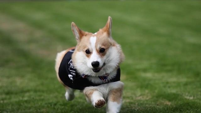 1317 - 1 - Retranscode edits-pub- retranscode when yt publish смотреть онлайн