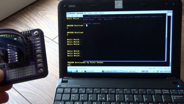 My development board and bootloader for PUYA PY32F003 смотреть онлайн