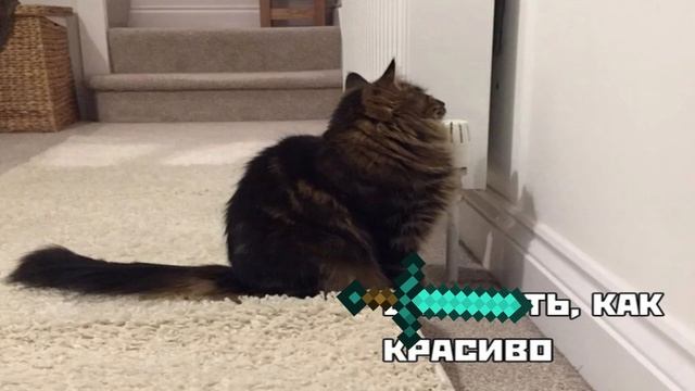 ЛУЧШИЕ МЕМЫ 6 - Лучшие МЕМЫ приколы 2022 minecraft приколы тик ток мемы майнкрафт смотреть онлайн