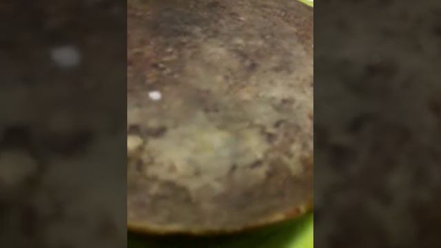 Тестардо. Видео 1. Козье молоко. смотреть онлайн