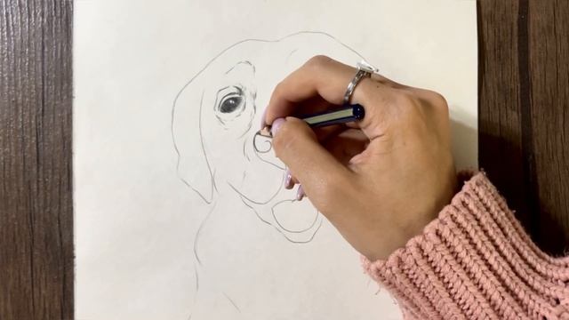 how to draw a cute dog step by step | realistic dog drawing | easy pencil sketch for beginners смотреть онлайн