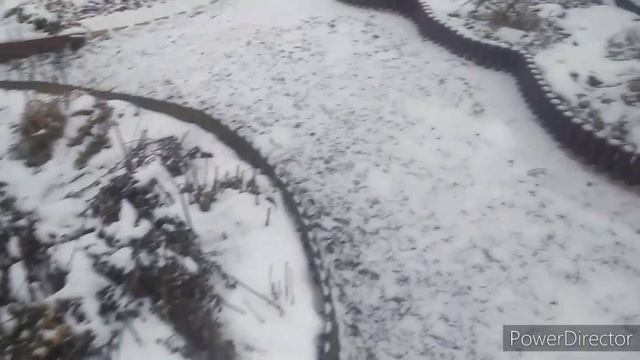 Обзор зимней Дачи 10 декабря 2021 года / Зимняя дача смотреть онлайн