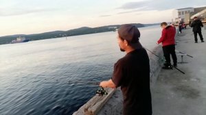 Кольский залив рыбалка Мурманск 1кг за 10шт