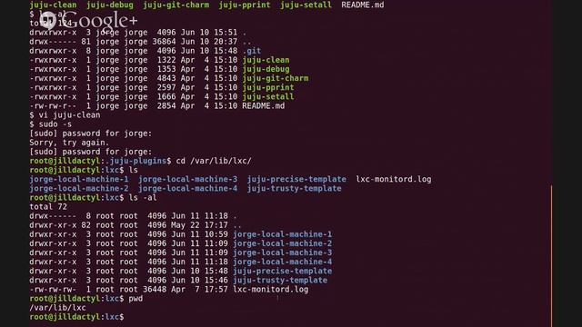Using Juju with the local LXC provider смотреть онлайн