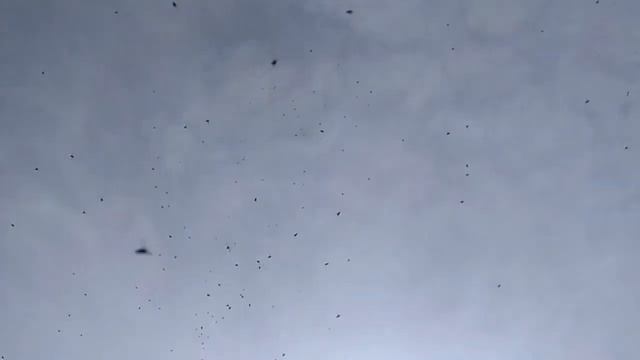 Рыбалка в мае на карася 2020! смотреть онлайн