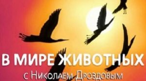 В мире животных с Николаем Дроздовым 2005 г  Выпуск - 3