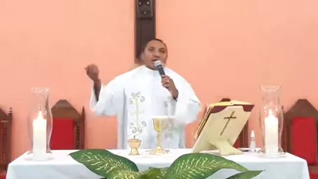 SANTA PAULINA DE JESUS (Branco, Prefácio Comum ou das Virgens) смотреть онлайн