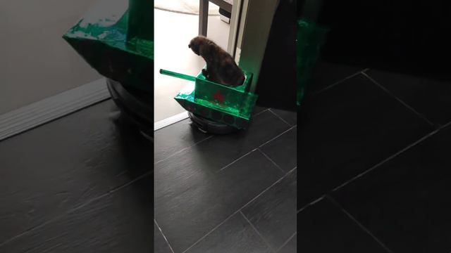 ПОЗДРАВЛЯЕМ ВСЕХ МУЖЧИН С ДНЕМ ЗАЩИТНИКА ОТЕЧЕСТВА!🎆 И МОЛИМСЯ ЗА МИР ВО ВСЁМ МИРЕ🙏 смотреть онлайн