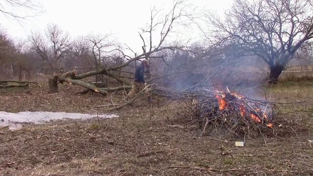 23_02_2020_Подготовка участка под сад.mp4 смотреть онлайн