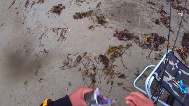 Улов горбуши под конец лета / Сахалин рыбалка горбуши смотреть онлайн