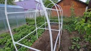 ВЫ ЗАХОТИТЕ ТАКОЙ ЖЕ! ВЕЧНЫЙ ПАРНИК под ОГУРЦЫ СВОИМИ РУКАМИ. ПРОСТО! БЫСТРО! ДЁШЕВО!