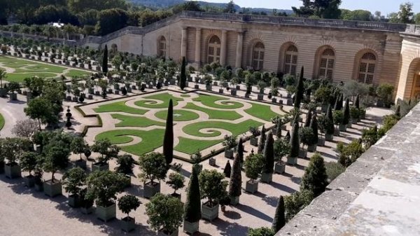 Orangerie, Versailles Chateau, France is filled with orange trees