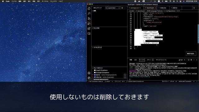 【開発環境】VSCodeでデバッグ смотреть онлайн