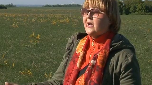 Красота! В Курском заповеднике зацвели пионы смотреть онлайн