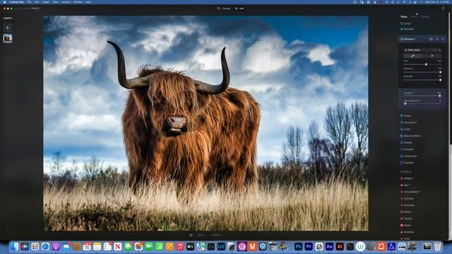 Skylum Luminar Neo. Tips on using Enhance AI tool смотреть онлайн