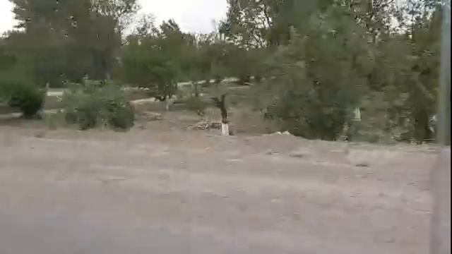 ФАКАТ ЭР ХОТИН КУРСИН ЙОЛГИЗ ХОНАДА смотреть онлайн