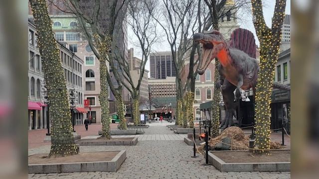 Фото, которые тебя удивят (60 часть) смотреть онлайн