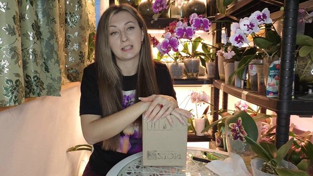 ТЕПЕРЬ ОРХИДЕИ как ПОПРУТ в Рост, ДОЛГОЖДАННАЯ БАНКА у МЕНЯ В РУКАХ смотреть онлайн