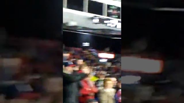 67's teddy bear game смотреть онлайн
