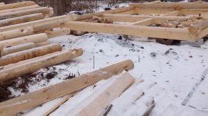 Начало сборки бани из оцилиндрованного бревна