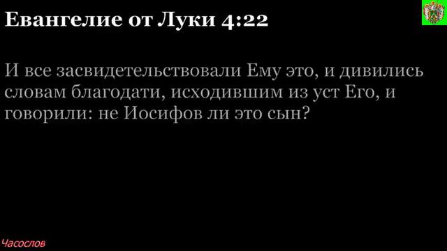 Аудиокнига. Библия. Новый Завет. ЕВАНГЕЛИЕ ОТ ЛУКИ. Глава 4 смотреть онлайн
