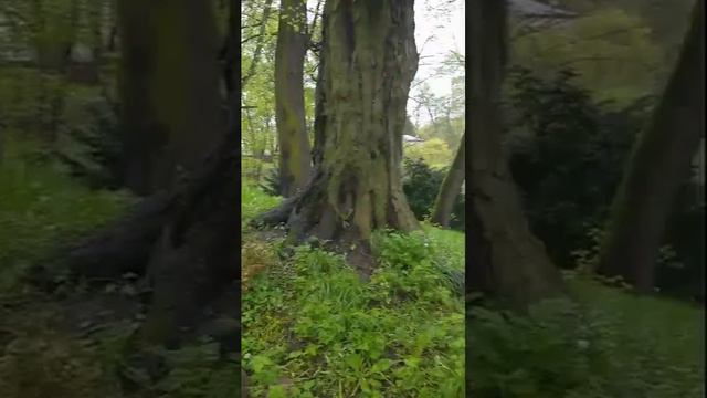 Мы постоянно об этом забываем…