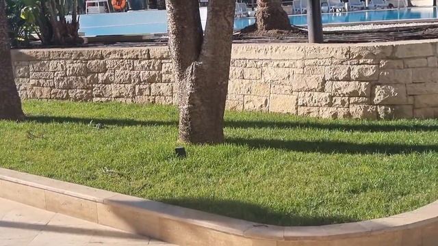 RIXOS DOWNTOWN 5* а на завтрак Шведский стол ВСЕ ВКЛЮЧЕНО Декабрь в Анталии! смотреть онлайн