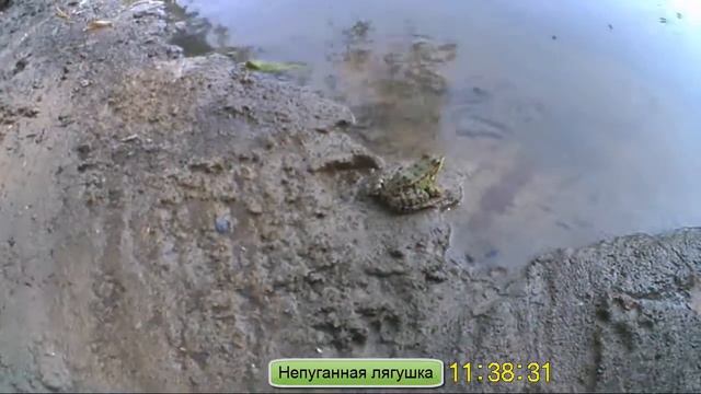 Первая съемка китайской экшн камерой смотреть онлайн
