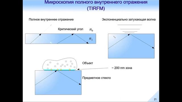 Оптическая микроскопия. Лекция 9. смотреть онлайн