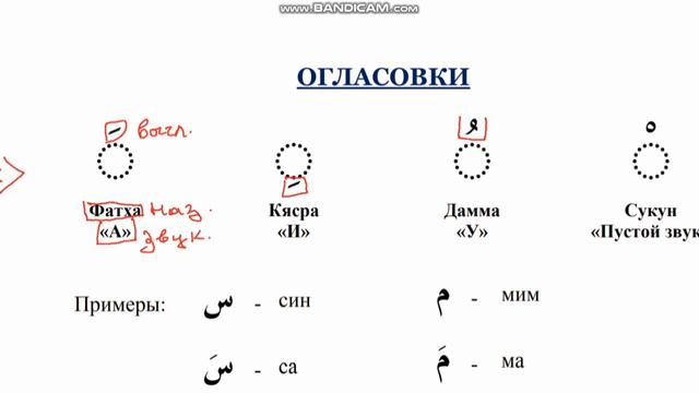 Обучение чтению Корана с полного нуля. Урок 1 смотреть онлайн