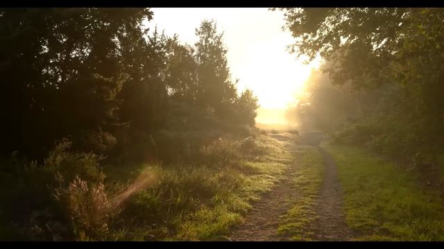 7 ВЫГОДНЫХ ПРИЧИН ЖИТЬ СОЛО, КОГДА У ТЕБЯ НИЧЕГО НЕ ЗАВЯЗЫВАЕТСЯ С ЖЕНЩИНАМИ смотреть онлайн
