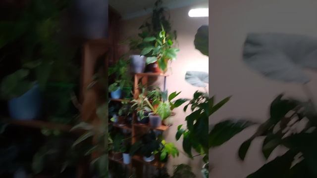 И снова покупка м валдберис для моих растишек смотреть онлайн