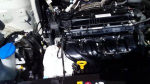 Мойка двигателя Hyundai Creta своими руками.