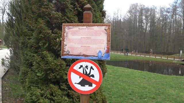 Беловежская Пуща! Что это такое и зачем туда ехать?! смотреть онлайн