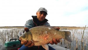 КАРАСЬ ПОШЕЛ! ВОТ ЭТО ЛАПТИ! ОН ТУТ КИШИТ. Рыбалка на поплавок.