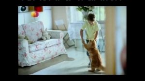 Эволюция рекламных заставок 31 канал/М1/Домашний