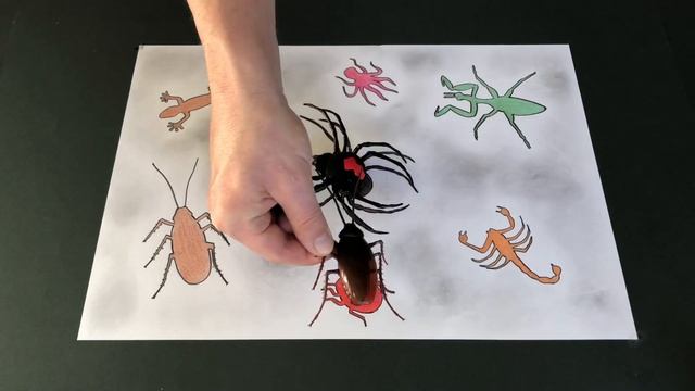 Zuru Robo Alive.Crawling Cockroach And Spider By Zuru.Look at these Insect and Bug Toys. смотреть онлайн