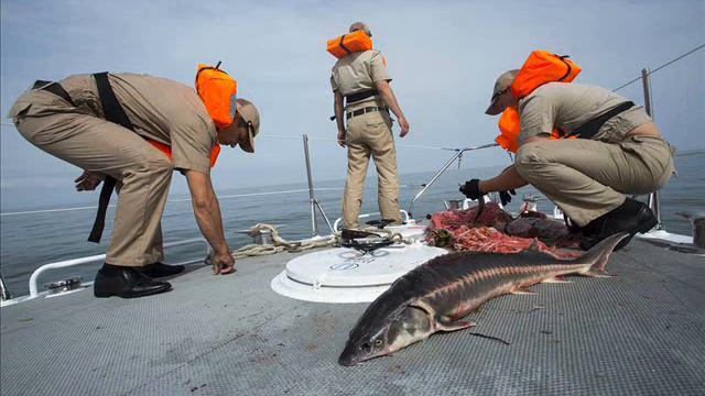 Фото Евгения Полонского. смотреть онлайн