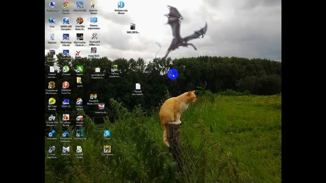 вместо черного цвета красный цвет на мониторе