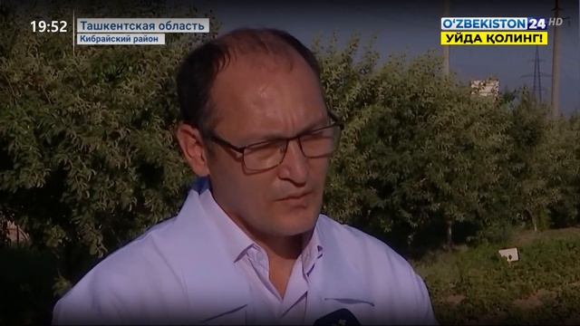 Инновационные подходы по выращиванию картофеля смотреть онлайн